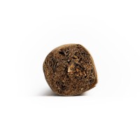 AVO Expressions Limited Edition 2024 Cigar - 1 Single